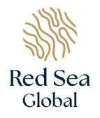 RED SEA GLOBAL logo